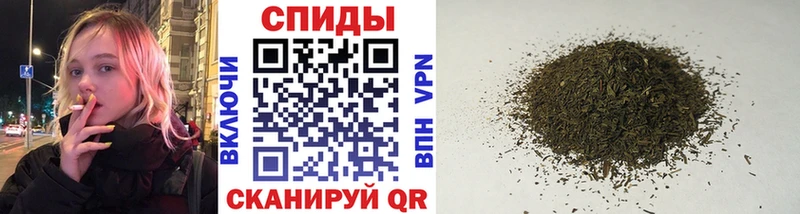 мориарти состав Киселёвск Бутират жидкий экстази хочу наркоту