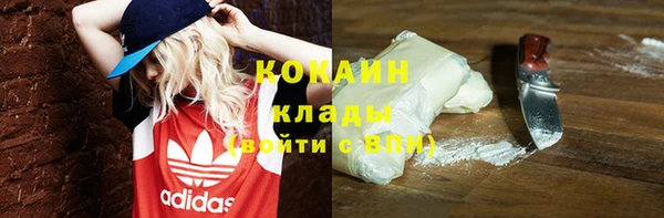 прущие крисы Инта