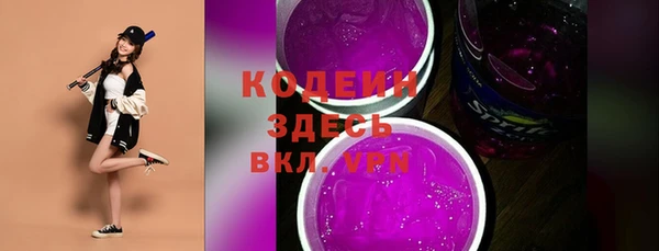 apvp Каменногорск