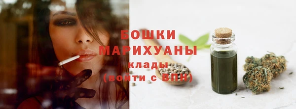 apvp Каменногорск