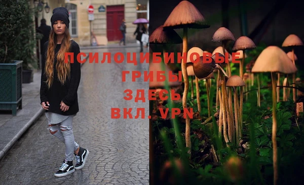 mix Каменск-Шахтинский