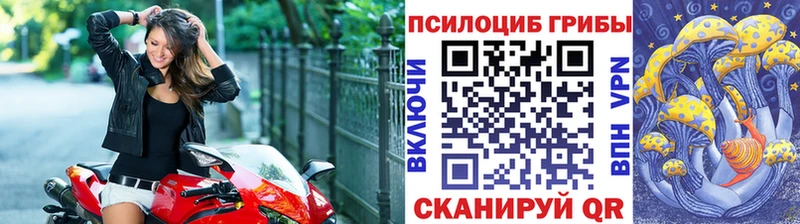 Галлюциногенные грибы прущие грибы  Киселёвск 